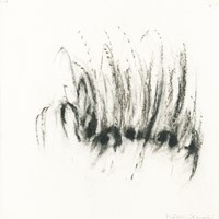 35 Fusain, pastel sur papier, 25x26,5cm, MX 1995 04
